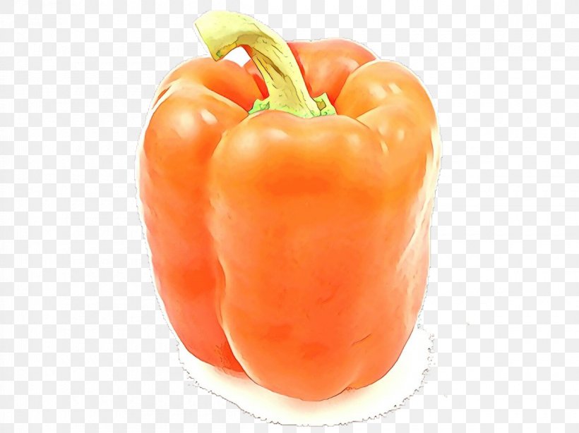 Vegetable Cartoon, PNG, 1200x899px, Cartoon, Bell Pepper, Bell Peppers And Chili Peppers, Capsicum, Chili Pepper Download Free