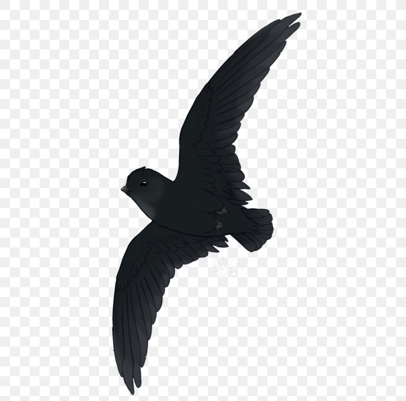 Archaeopteryx Bird Yixian Formation American Crow Dinosaur, PNG, 455x810px, Archaeopteryx, American Crow, Beak, Bird, Black And White Download Free