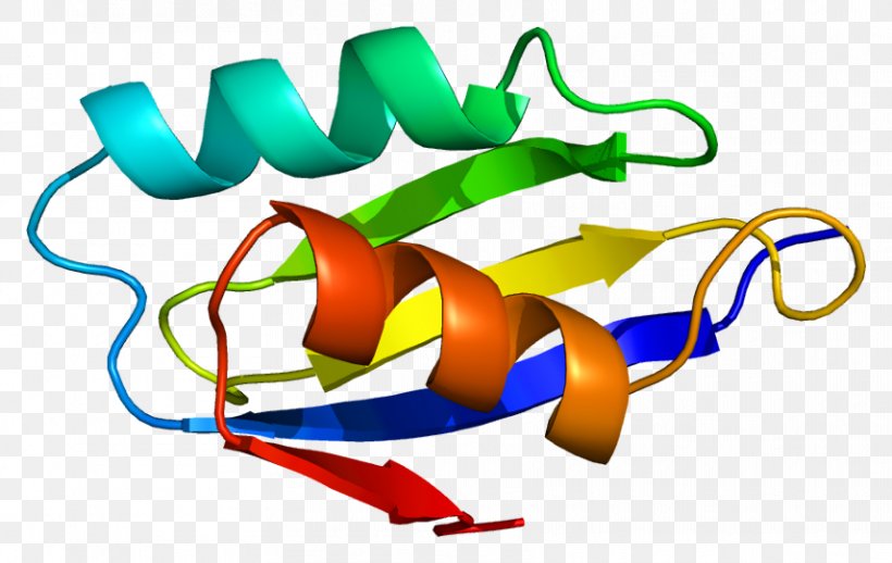 ATP7A Menkes Disease Wilson Disease Protein Golgi Apparatus, PNG, 856x541px, Menkes Disease, Area, Artwork, Atp Hydrolysis, Atpase Download Free