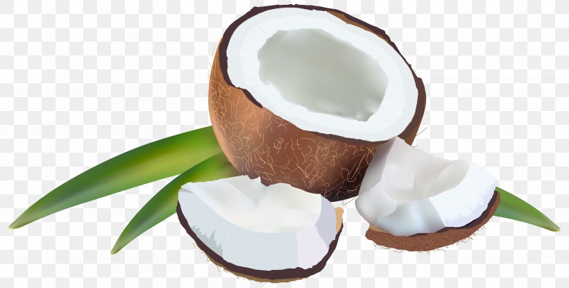 Coconut Water Coconut Milk Clip Art, PNG, 6242x3161px, Coconut Water, Arecaceae, Coconut, Coconut Milk, Coconut Oil Download Free
