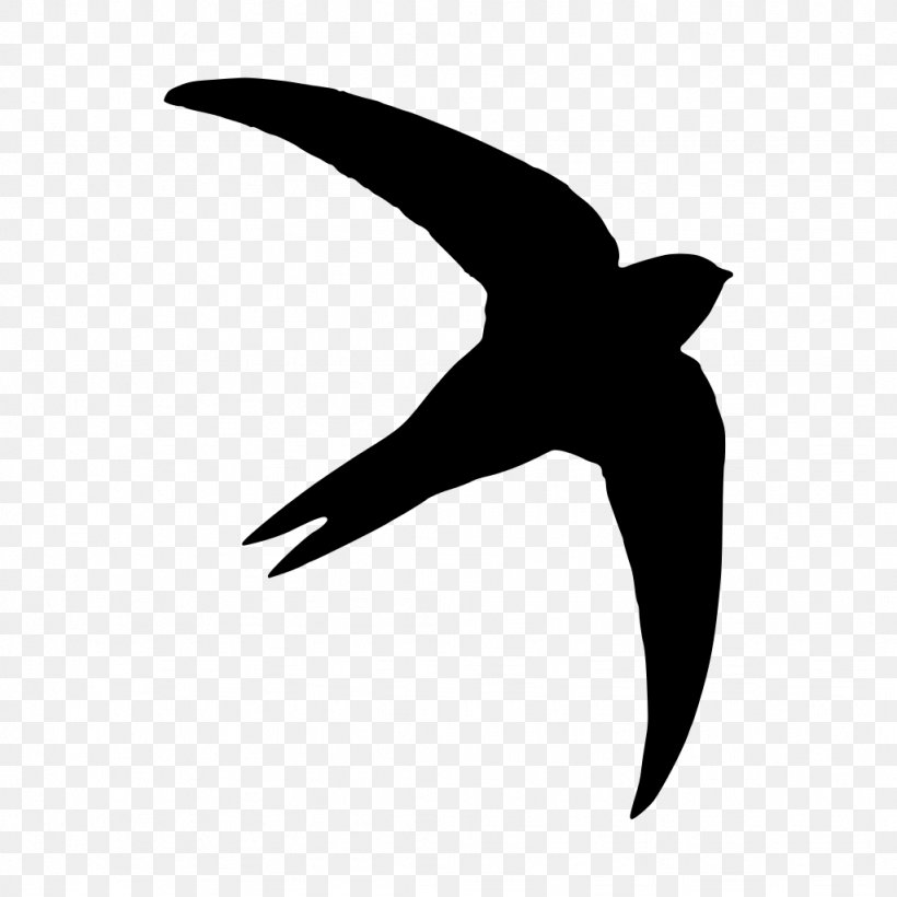 Common Swift Silhouette Photography Bird, PNG, 1024x1024px, Common Swift, Beak, Bird, Black And White, Drawing Download Free