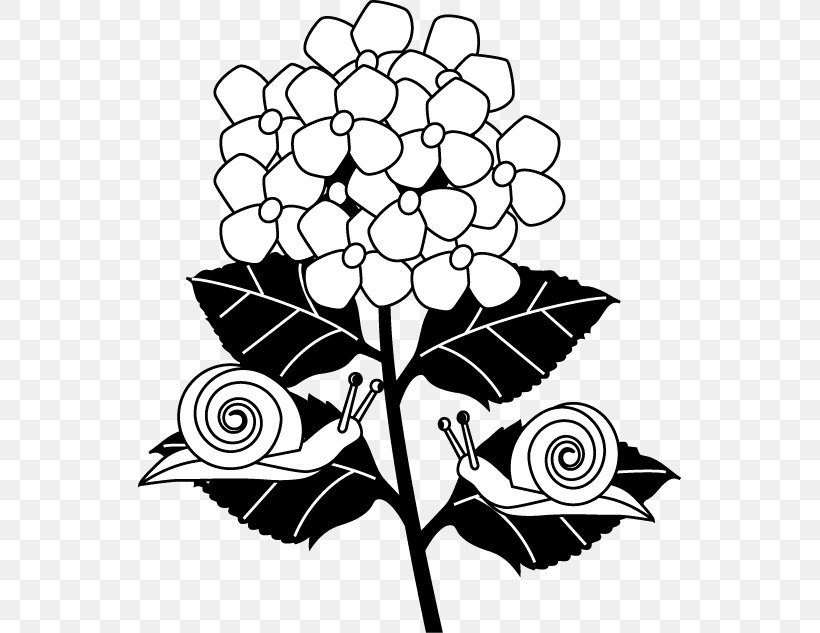 Floral Design Coloring Book Visual Arts Black And White, PNG, 543x633px, Floral Design, Art, Artwork, Black, Black And White Download Free
