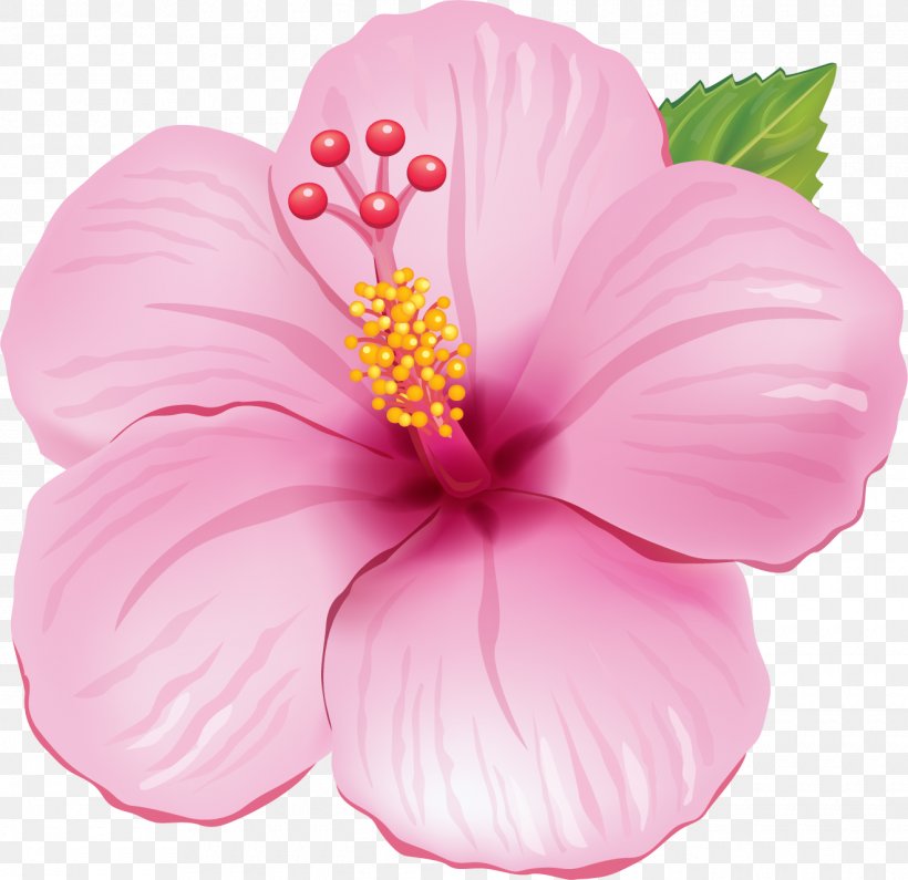 Flower Image Clip Art Drawing, PNG, 1320x1280px, Flower, Annual Plant, Chinese Hibiscus, Drawing, Floral Design Download Free