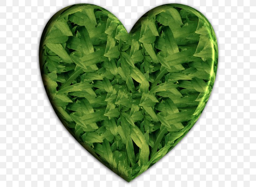 Lettuce Spring Greens Herb Leaf Vegetable, PNG, 600x600px, Lettuce, Grass, Herb, Leaf, Leaf Vegetable Download Free