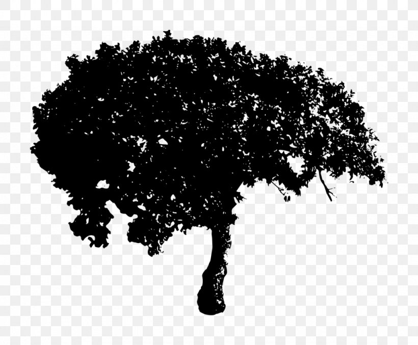 Tree Desktop Wallpaper Clip Art, PNG, 1024x846px, Tree, Black And White, Branch, Monochrome Photography, Pine Download Free