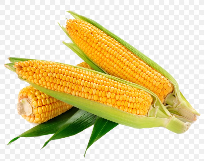 Waxy Corn Corn On The Cob Sweet Corn Corncob Ear, PNG, 1146x908px, Waxy Corn, Cereal, Commodity, Corn Kernel, Corn On The Cob Download Free