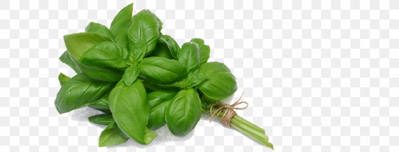 Basil Green Papaya Salad Cambodian Cuisine Tapenade Pesto, PNG, 990x379px, Basil, Bay Leaf, Cambodian Cuisine, Food, Green Papaya Salad Download Free