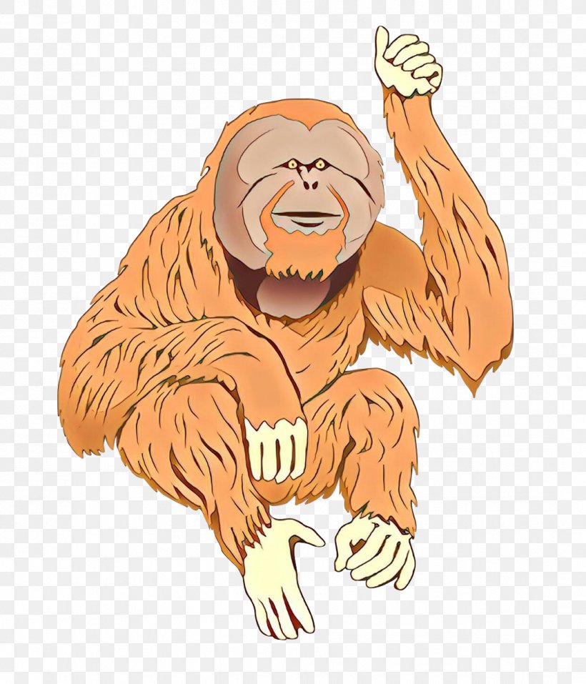 Bornean Orangutan Ape Sumatran Orangutan Chimpanzee Monkey, PNG, 1083x1265px, Bornean Orangutan, Animation, Ape, Art, Borneo Orangutan Survival Download Free