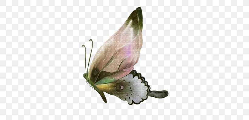Butterfly Painting Clip Art, PNG, 400x397px, Butterfly, Arthropod, Brush Footed Butterfly, Butterflies And Moths, Drawing Download Free