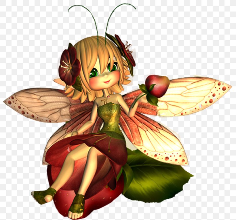 Fairy Gnome Elf, PNG, 800x764px, Fairy, Animation, Duende, Elf, Fictional Character Download Free