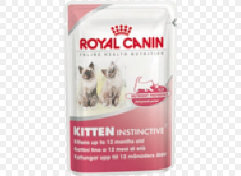 Kitten Cat Food Maine Coon Dog Royal Canin, PNG, 600x600px, Kitten, Cat, Cat Food, Cat Protection Society Of Victoria, Dog Download Free