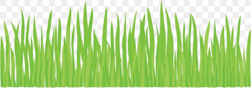 Lawn Clip Art, PNG, 6339x2231px, Lawn, Chrysopogon Zizanioides, Color, Commodity, Garden Download Free