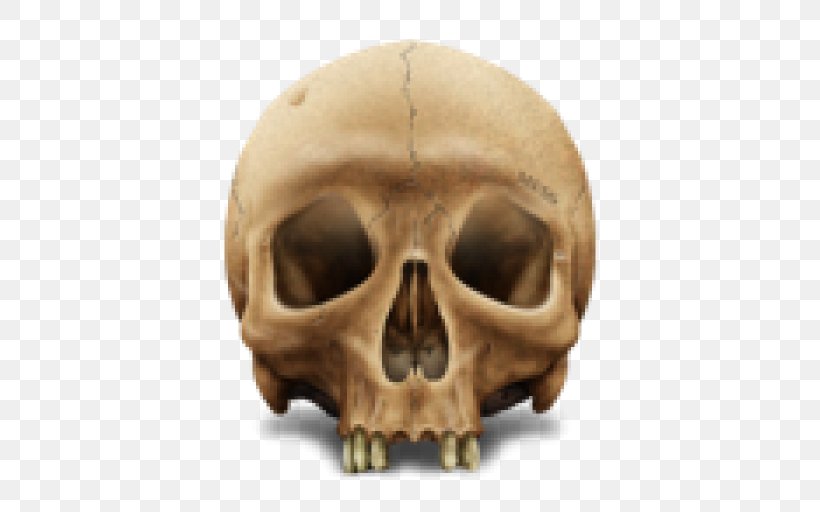 Skull Clip Art Image, PNG, 512x512px, Skull, Bone, Data, Filename Extension, Head Download Free