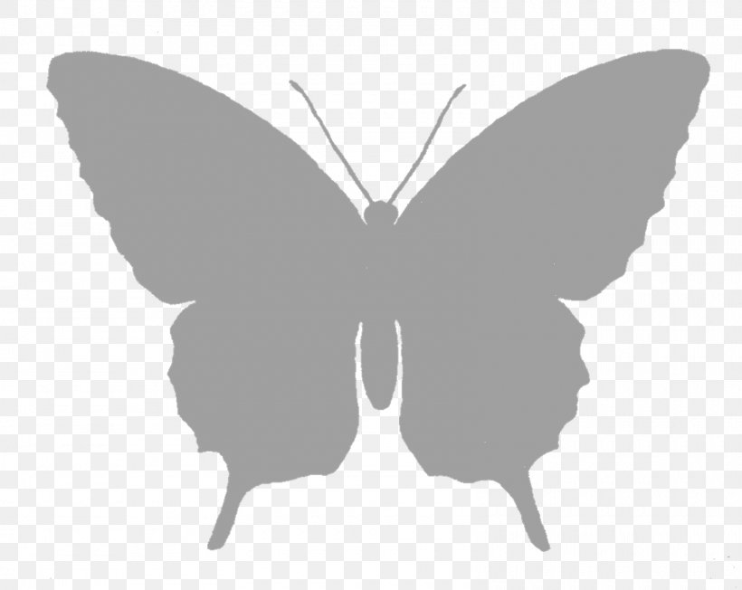 Butterfly Silhouette Black And White Clip Art, PNG, 1600x1274px, Butterfly, Art, Arthropod, Black, Black And White Download Free