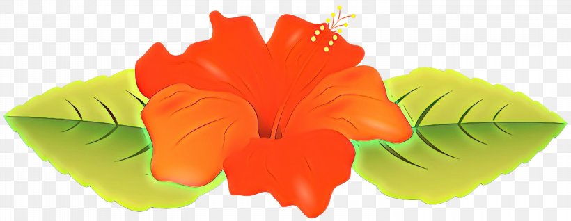 Drawing Of Family, PNG, 3000x1166px, Drawing, Borders And Frames, Flower, Hibiscus, Impatiens Download Free