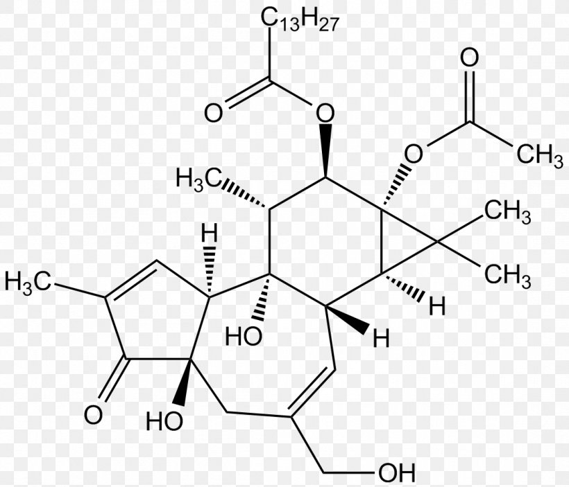 Tigilanol Tiglate Phorbol Fontainea Picrosperma Protein Kinase C, PNG, 1101x945px, Phorbol, Area, Black And White, Cancer, Diagram Download Free