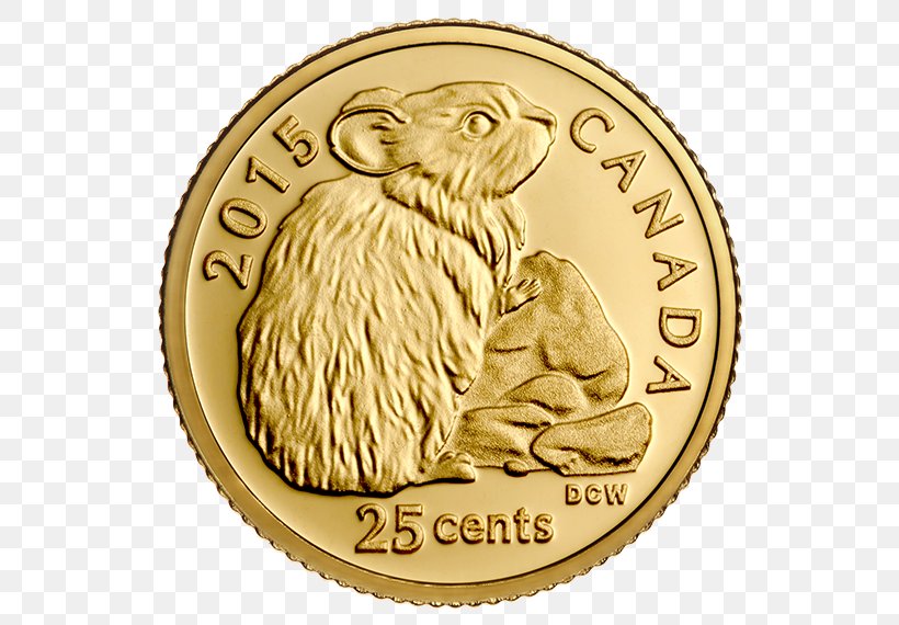 Gold Coin Gold Coin Canada Sovereign, PNG, 570x570px, Coin, Canada, Currency, Czech Koruna, Franc Download Free