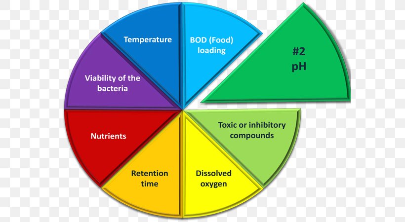 Industrial Wastewater Treatment Sewage Treatment Activated Sludge, PNG, 600x450px, Wastewater Treatment, Activated Carbon, Activated Sludge, Area, Biochemical Oxygen Demand Download Free