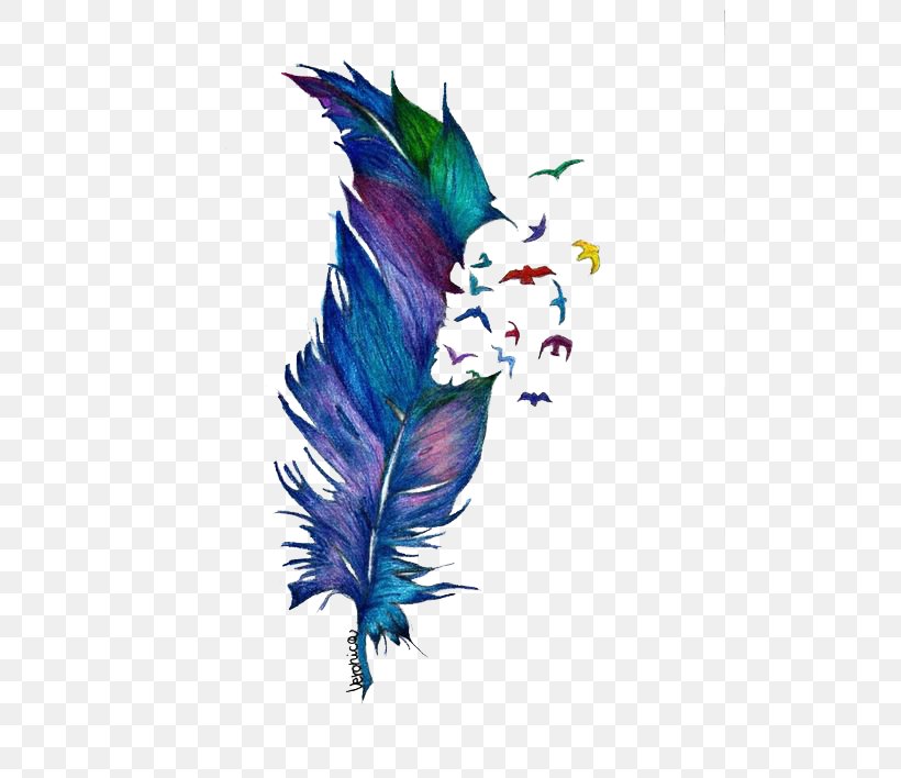 Bird Drawing Feather Watercolor Painting Tattoo, PNG, 500x708px, Bird, Art, Beak, Drawing, Feather Download Free