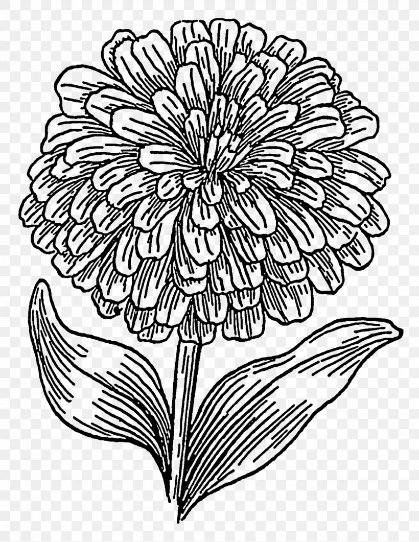Coloring Book Drawing Mexican Marigold, PNG, 1236x1600px, Coloring Book, Art, Artwork, Black And White, Child Download Free