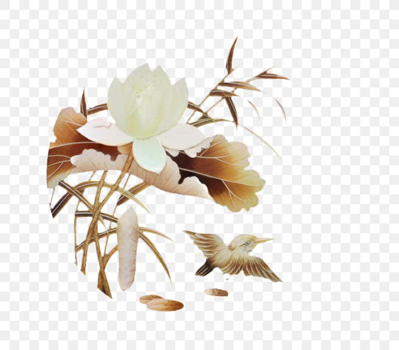 Cut Flowers Flowering Plant Plants Branching, PNG, 720x720px, Cut Flowers, Anemone, Botany, Branch, Branching Download Free