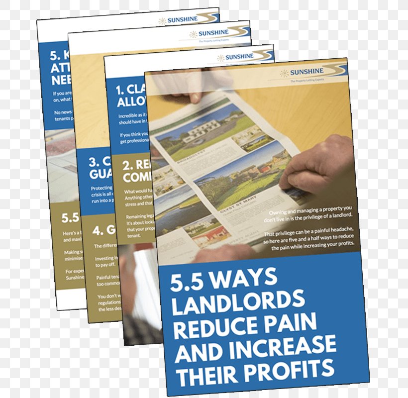 Expert Renting Landlord Experience Skill, PNG, 800x800px, Expert, Advertising, Experience, Landlord, Renting Download Free