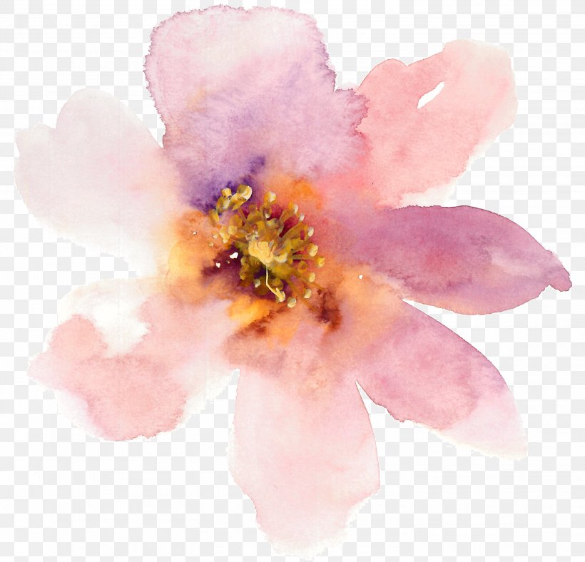 Cherry Blossom, PNG, 3013x2899px, Pink, Blossom, Cherry Blossom, Flower, Peony Download Free