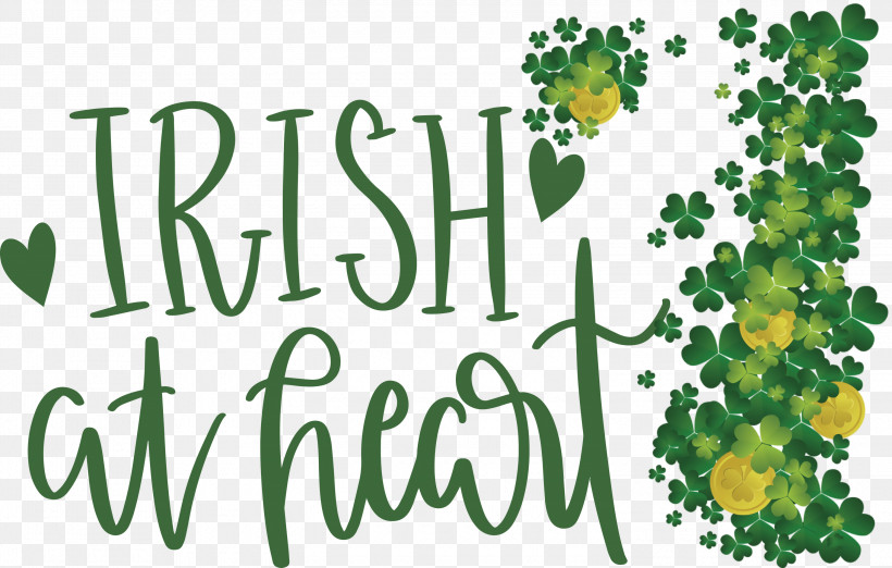 Shamrock Irish Saint Patrick, PNG, 3000x1910px, Shamrock, Branching, Family, Flora, Floral Design Download Free