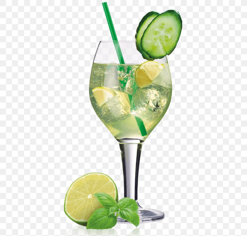 Cocktail Garnish Mojito Lime Gin And Tonic, PNG, 400x783px, Cocktail Garnish, Cocktail, Daiquiri, Drink, Fruit Download Free
