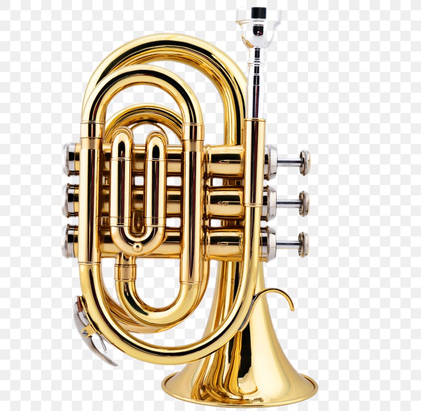 Cornet Trumpet Brass Instrument Musical Instrument Wind Instrument, PNG, 800x800px, Watercolor, Cartoon, Flower, Frame, Heart Download Free