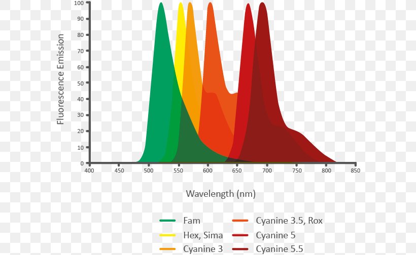Fluorophore Fluorescence Oligonucleotide Hybridization Probe Emission Spectrum, PNG, 601x504px, Fluorophore, Anthracene, Area, Brand, Cyanine Download Free