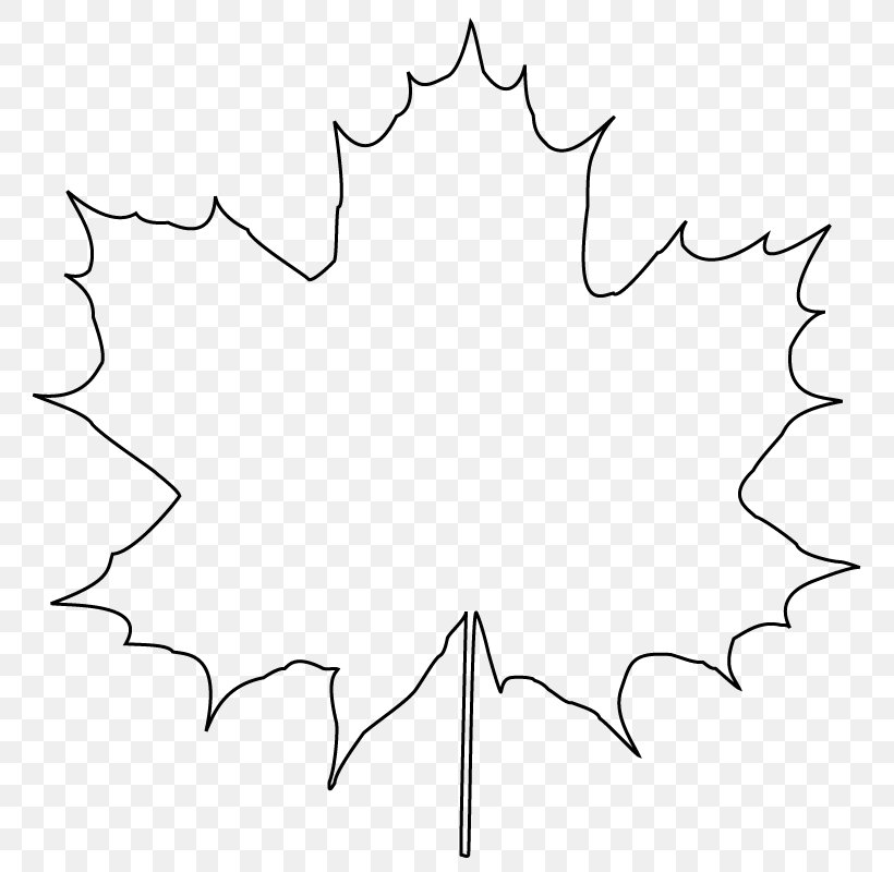 Line Symmetry Leaf Black And White Pattern, PNG, 800x800px, Symmetry, Area, Black, Black And White, Leaf Download Free