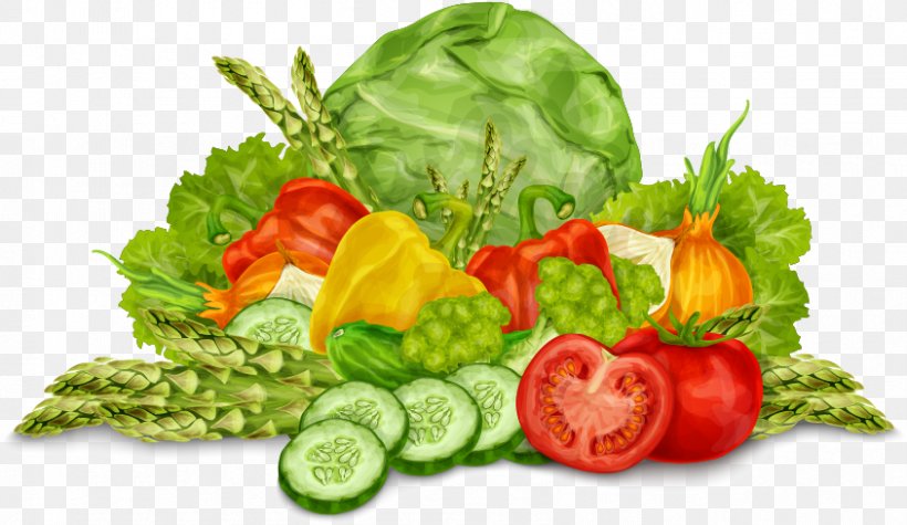 Organic Food Stock Pea Illustration, PNG, 844x489px, Organic Food, Diet Food, Dish, Drawing, Food Download Free
