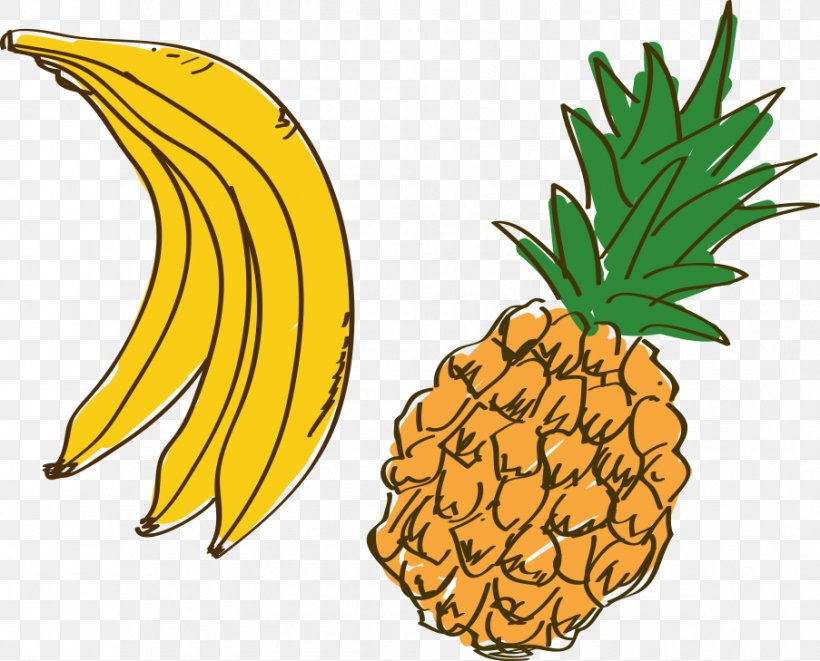 Pineapple Fruit Coloring Book Cartoon Auglis, PNG, 903x729px, Pineapple, Ananas, Auglis, Bromeliaceae, Cartoon Download Free