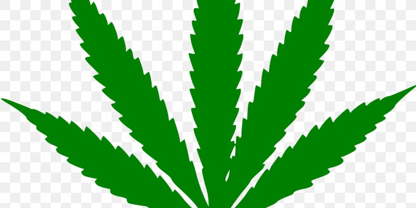 Adult Use Of Marijuana Act Medical Cannabis, PNG, 1280x640px, Adult Use Of Marijuana Act, Cannabinoid, Cannabis, Cannabis In Papua New Guinea, Cannabis Smoking Download Free