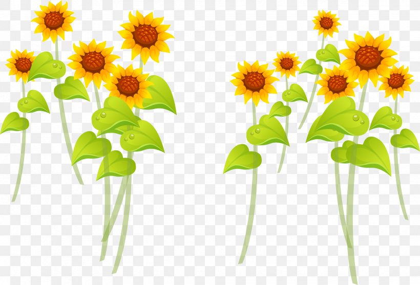 Common Sunflower Cartoon Illustration, PNG, 1963x1334px, Common Sunflower, Cartoon, Cut Flowers, Daisy, Daisy Family Download Free