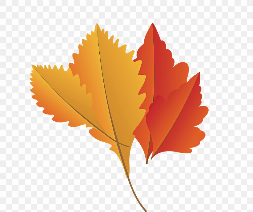Maple Leaf, PNG, 3000x2517px, Autumn Leaf, Autumn Leaf Color, Cartoon Leaf, Fall Leaf, Fern Download Free