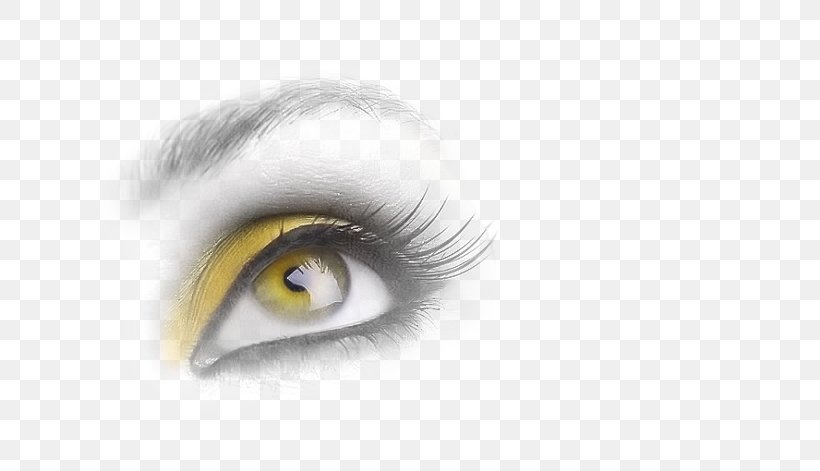 Eye Iris Face Portrait Photography, PNG, 650x471px, Watercolor, Cartoon, Flower, Frame, Heart Download Free