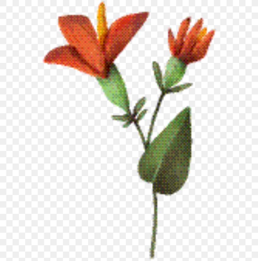 Flower Stem, PNG, 570x830px, Flower, Botany, Flowering Plant, Gesneriad Family, Herb Download Free