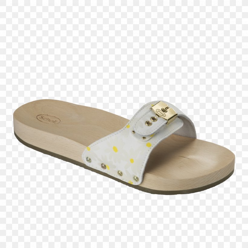 Slipper Shoe Sandal Dr. Scholl's Flip-flops, PNG, 2000x2000px, Slipper, Beige, Clog, Crocs, Fashion Download Free