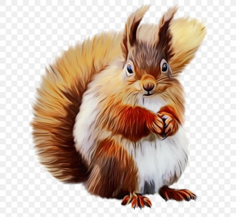 Squirrel Cartoon, PNG, 650x753px, Watercolor, Eurasian Red Squirrel, Fur,  Paint, Rabbit Download Free