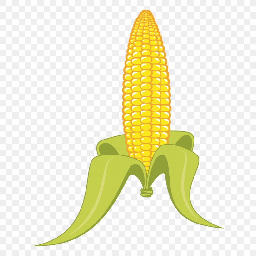 Candy Corn Popcorn Grits Corn On The Cob, PNG, 1000x1000px, Candy Corn, Banana, Banana Family, Corn On The Cob, Corncob Download Free