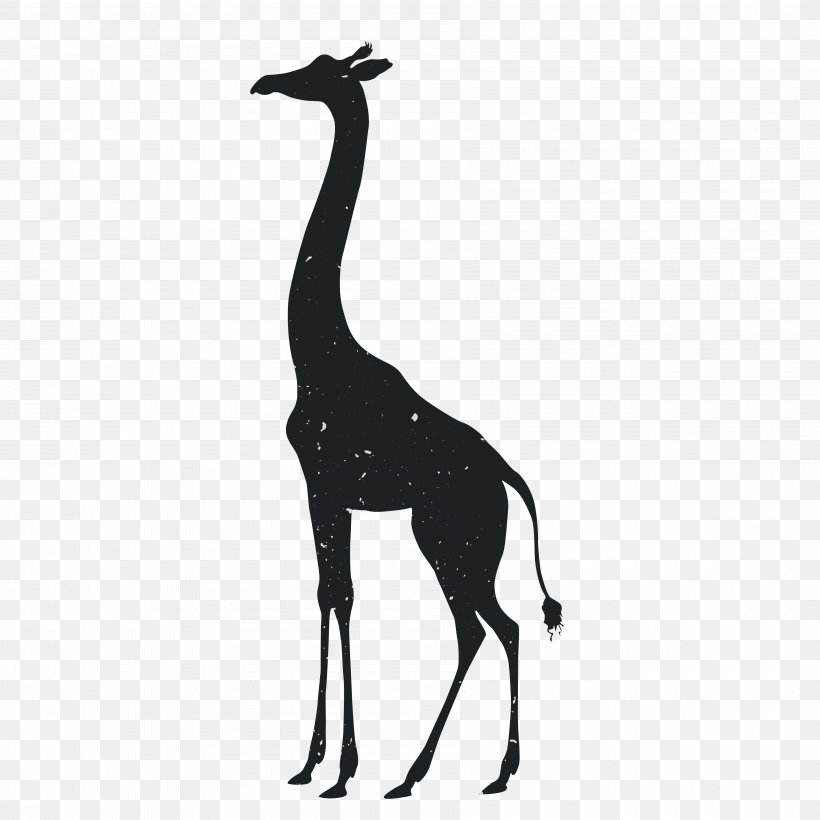 Giraffe Tiger Silhouette Animal Drawing, PNG, 3600x3600px, Giraffe, Animal, Black And White, Designer, Drawing Download Free