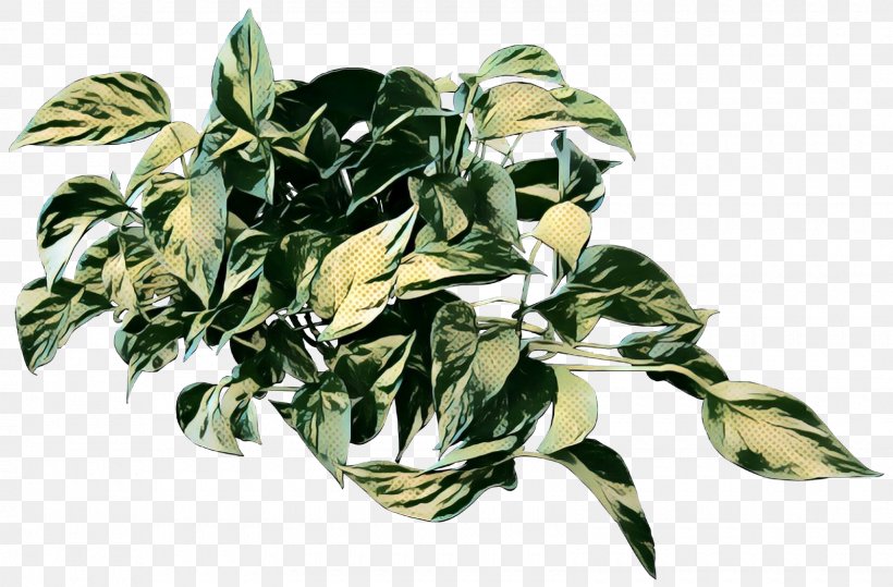Herbalism Leaf Tree, PNG, 1600x1053px, Herbalism, Anthurium, Arrowroot Family, Botany, Flower Download Free