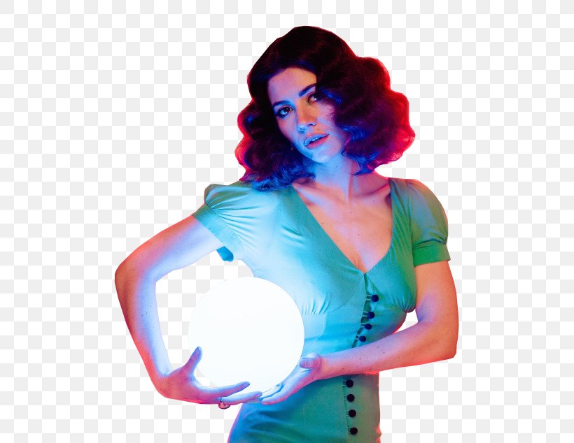 Marina And The Diamonds Froot Electra Heart DIY, PNG, 500x634px, Watercolor, Cartoon, Flower, Frame, Heart Download Free