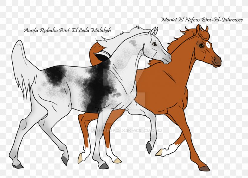 Mustang Foal Colt Stallion Bridle, PNG, 900x646px, Mustang, Bridle, Cartoon, Character, Colt Download Free