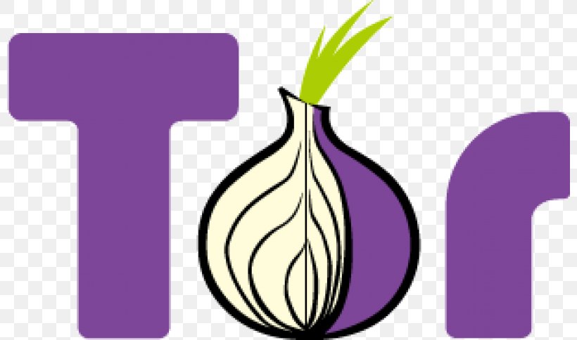 Tor Browser Web Browser Onion Routing Anonymity, PNG, 800x484px, Tor Browser, Anonymity, Anonymous Web Browsing, Computer Network, Computer Security Download Free