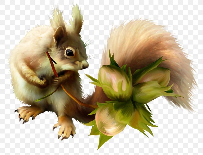 Chipmunk Tree Squirrel Red Squirrel Clip Art, PNG, 800x627px, Chipmunk, Bread Savior Day, Eastern Gray Squirrel, Fauna, Gimp Download Free