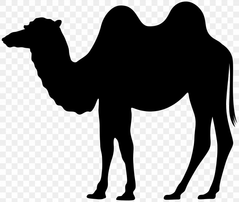 Dromedary Silhouette Clip Art, PNG, 8000x6768px, Dromedary, Animal, Arabian Camel, Black And White, Camel Download Free