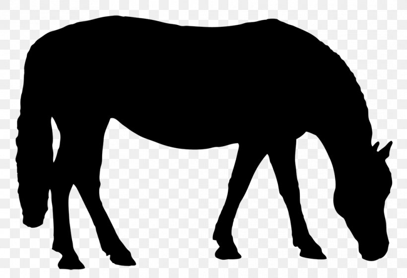 John Wayne Birthday Celebration 5K Run/Walk Mustang Pony Stallion Unghester, PNG, 1063x727px, Mustang, Animal Figure, Blackandwhite, Fence, Foal Download Free